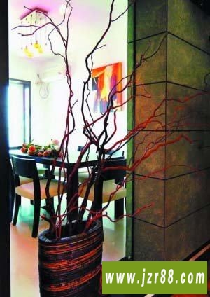 2011玄关装修设计,体现品位